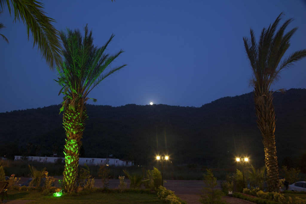 Palmira Hotel - Gece